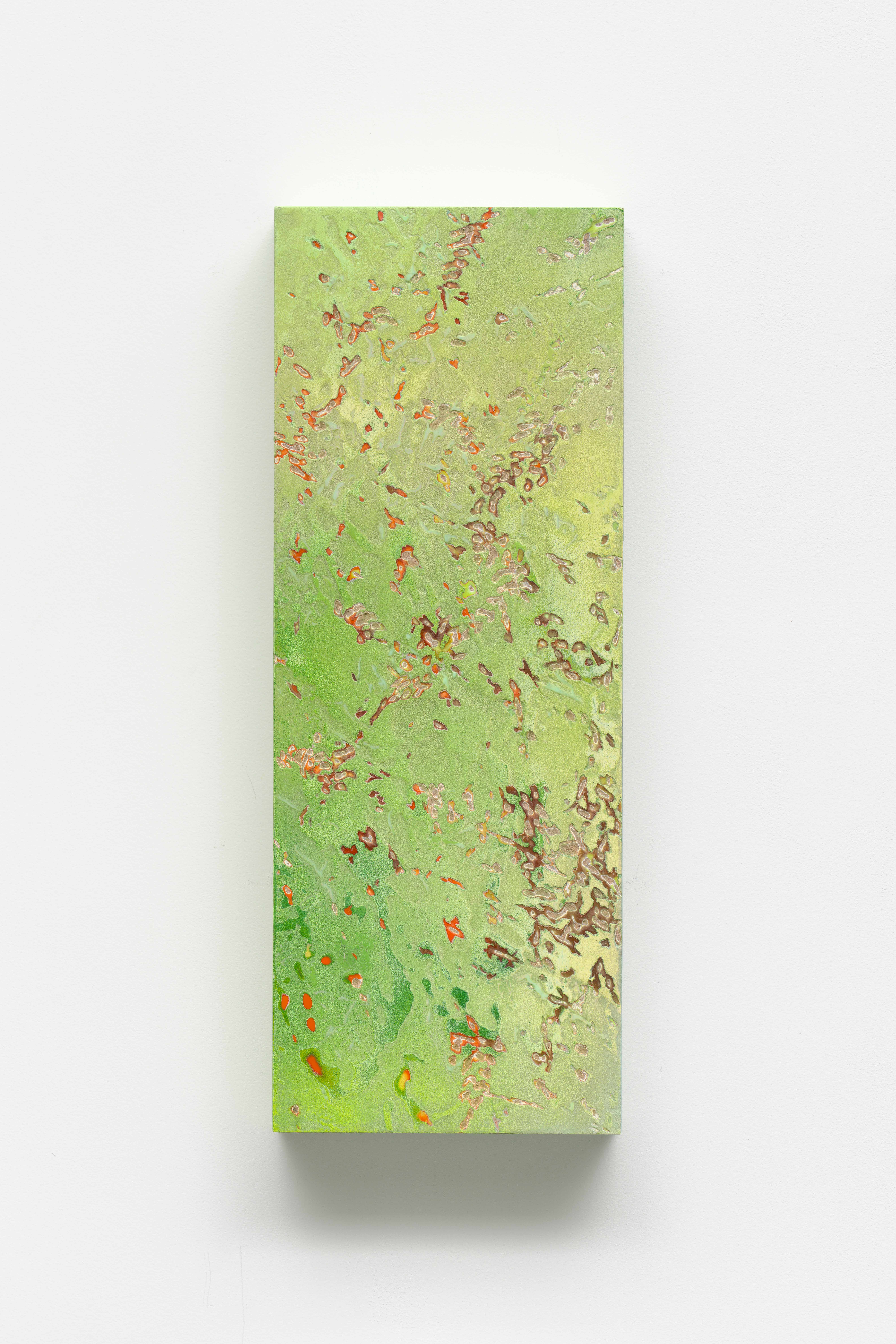 screened leaf debris.jpg